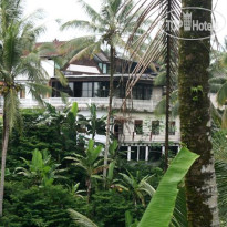 Pesona Terrace Ubud 