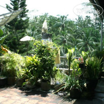 Pesona Terrace Ubud 