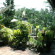 Pesona Terrace Ubud 