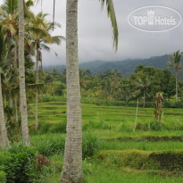 KarangSari Guesthouse & Restaurant 