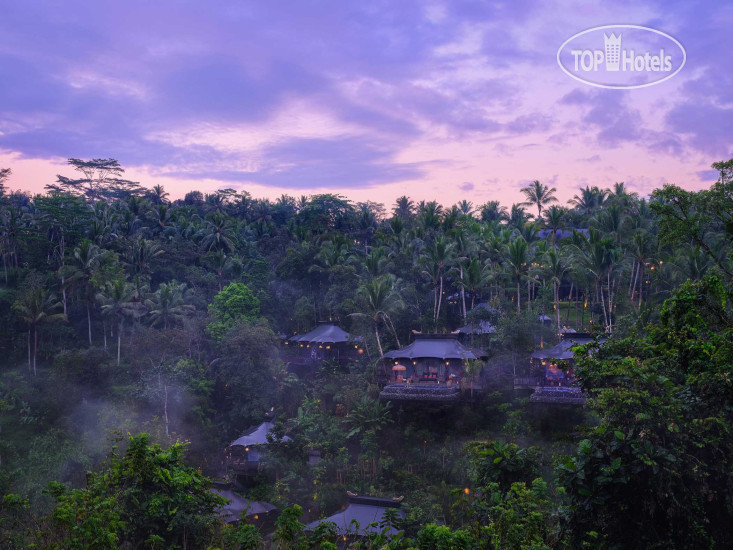 Фотографии отеля  Capella Ubud 