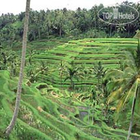 Junjungan Ubud Hotel & Spa 