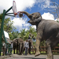 Elephant Safari Park Lodge 