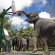 Elephant Safari Park Lodge 