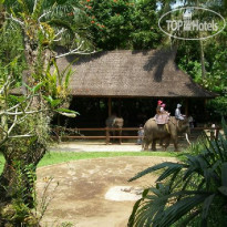 Elephant Safari Park Lodge 