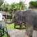 Elephant Safari Park Lodge 