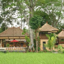 Villa Tamu Seseh 