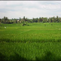 Panorama Ubud 