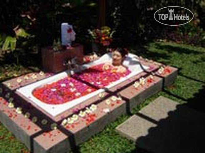 Новые добавленные фото туристов Bhanuswari Resort & Spa 3*