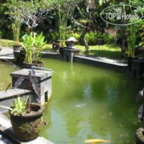 Ayu Beach Inn 