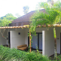 Y Resort