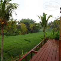 Ubud Green 