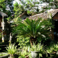 Gunung Merta Bungalows 1*