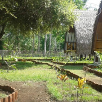 Island Lake Bungalows 