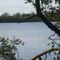 Island Lake Bungalows 