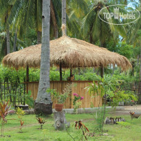 Kebun Kupu Kupu Gili Meno Eco Resort 
