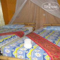 Dream Divers Bungalows 