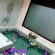 Lembeh Hills Resort Ванная комната
