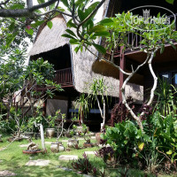 Adi Bungalow 3*