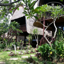 Adi Bungalow 