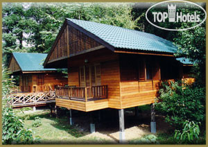 Photos Borneo Rainforest Lodge