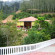 Rain Forest Resort 