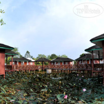 Firefly Park Resort 