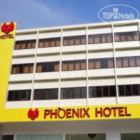 Phoenix 4*