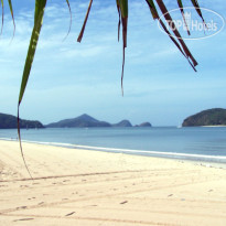 Tropical Resort