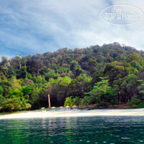 Tanjung Sanctuary 