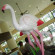 Flamingo By The Beach Penang 
