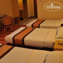 Tang Dynasty Park Hotel