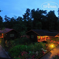 Abai Jungle Lodge 