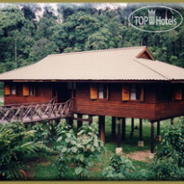 Borneo Rainforest Lodge 