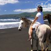 White Grass Ocean Resort
