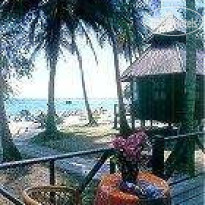 Phi Phi Coral Resort 