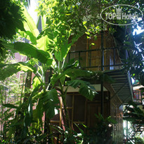 Tropical Garden Bungalows 