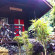 Chill Out Bar & Bungalow 