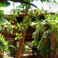 Fruit Tree Lodge