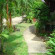 The Krabi Forest Homestay 