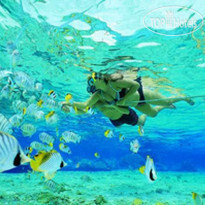 Phi Phi Relax Resort