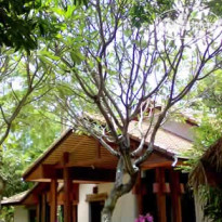 Kasem Island Resort 