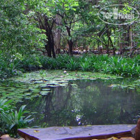 Mom Chailai Forest Retreat 