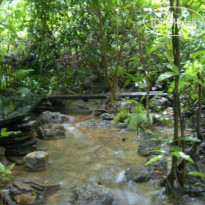 Mom Chailai Forest Retreat 