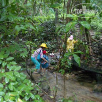 Mom Chailai Forest Retreat 