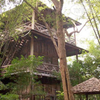Mom Chailai Forest Retreat 