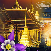 Majestic Suites 