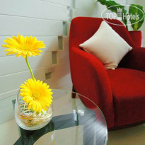 Ds67 Suites 