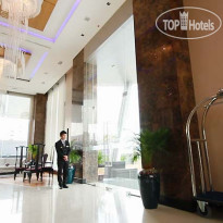 The Vertical Suite 
