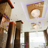 The Vertical Suite 